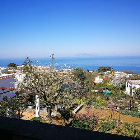 Maryhome Anacapri  Exteriör bild