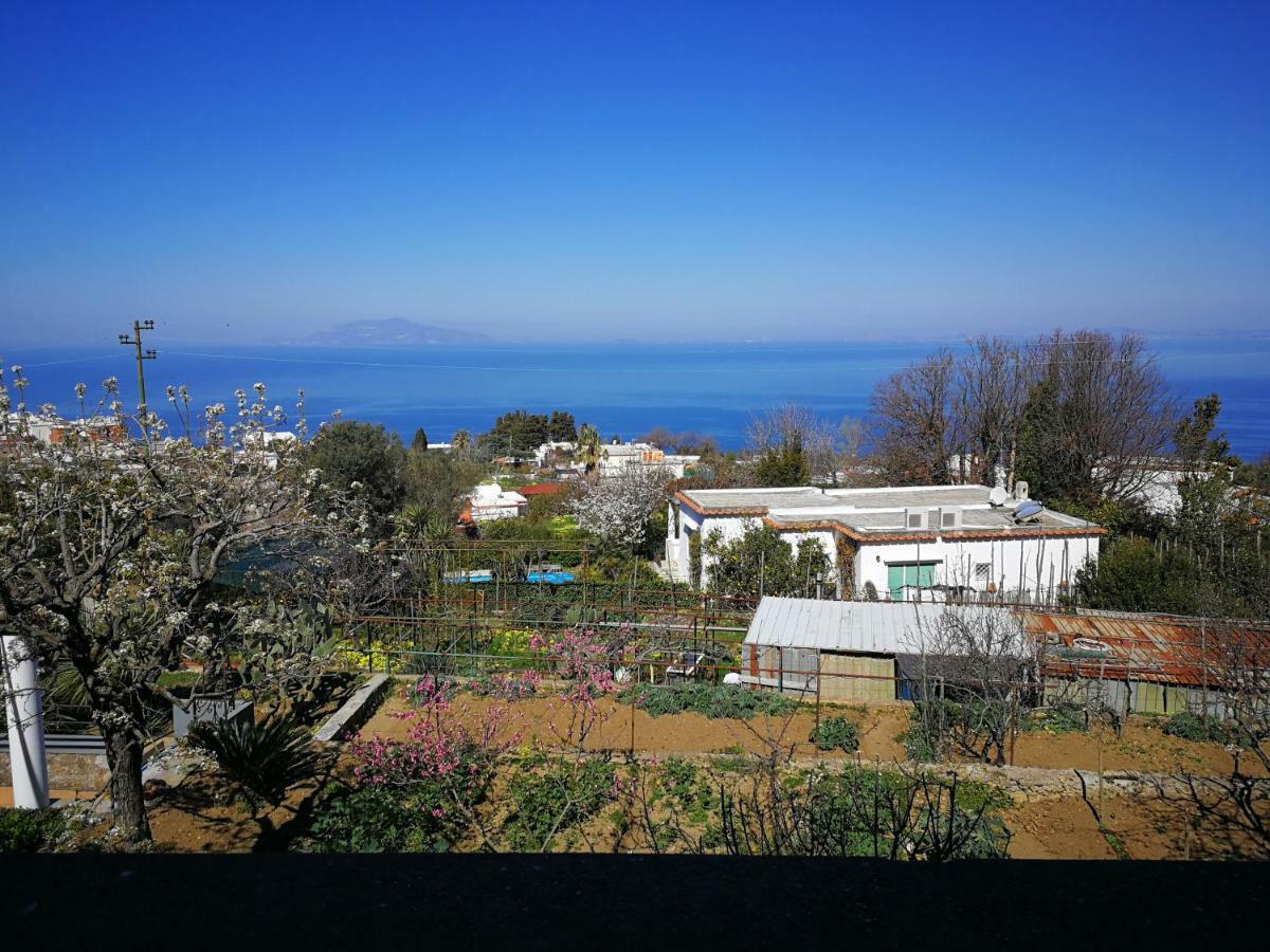 Maryhome Anacapri  Exteriör bild